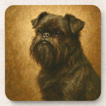 Affenpinscher