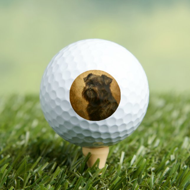 Affenpinscher Golfball (Insitu T-Shirt)