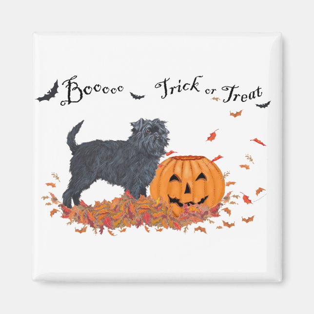 Affenpinscher Halloween Magnet (Vorne)
