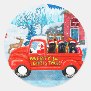 Affenpinscher Hund im Weihnachtslieferwagen Runder Aufkleber