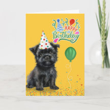 Affenpinscher Hund in Party Hut auf Gelber Geburts