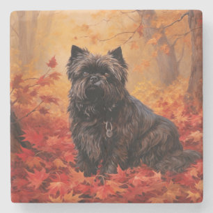 Affenpinscher im Herbst Leaves Fall Inspiriert Steinuntersetzer
