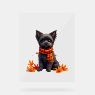 Affenpinscher mit Herbst-Blättern Acrylschild