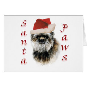 Affenpinscher Père Noël Paws