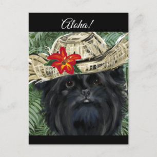 Affenpinscher    postkarte