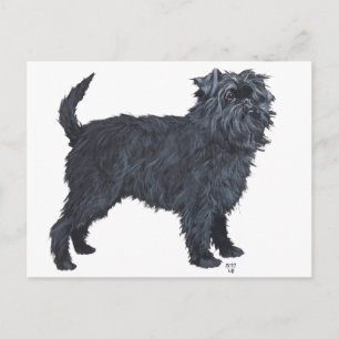 Affenpinscher Postkarte