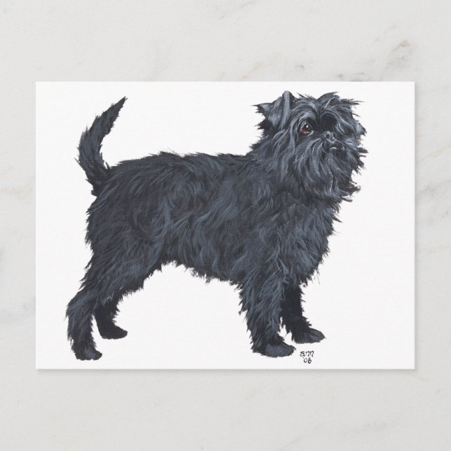 Affenpinscher Postkarte (Vorderseite)