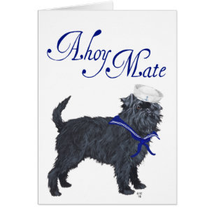 Affenpinscher Sailor