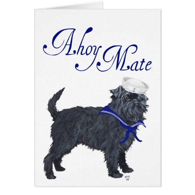 Affenpinscher Sailor (Vorne)