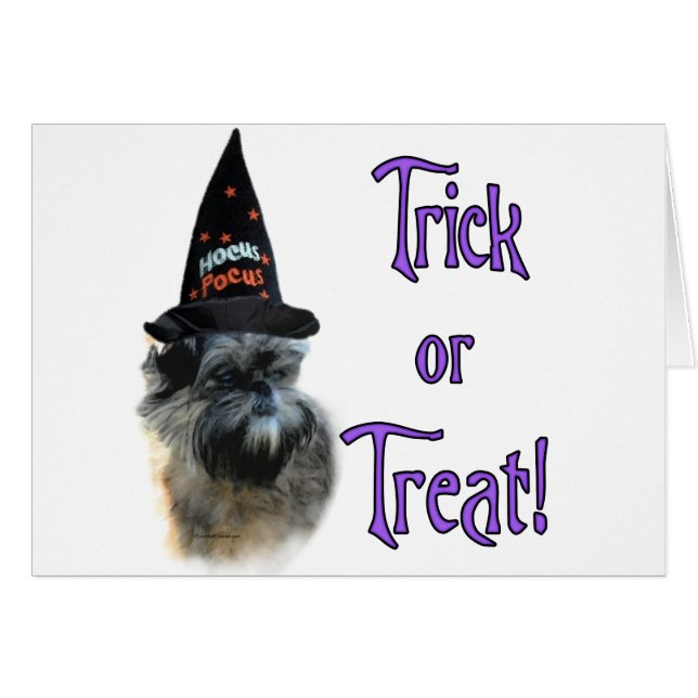 Affenpinscher Trick (Vorderseite (Horizontal))