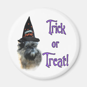 Affenpinscher Trick Magnet