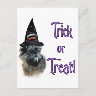 Affenpinscher Trick Postkarte