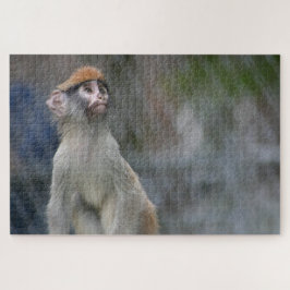 Affenportrait