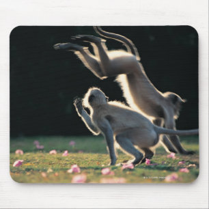 Affespielen Mousepad