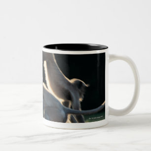 Affespielen Zweifarbige Tasse
