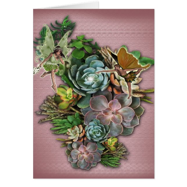 Affichages successifs (Devant)