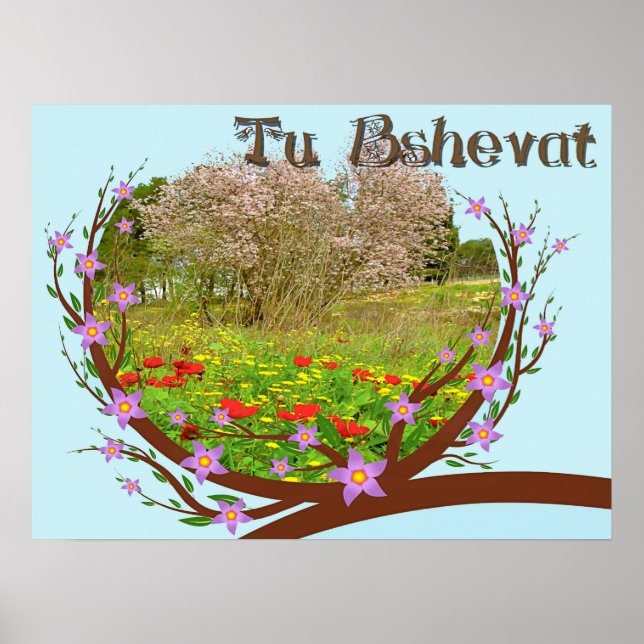 Affiche (Devant)