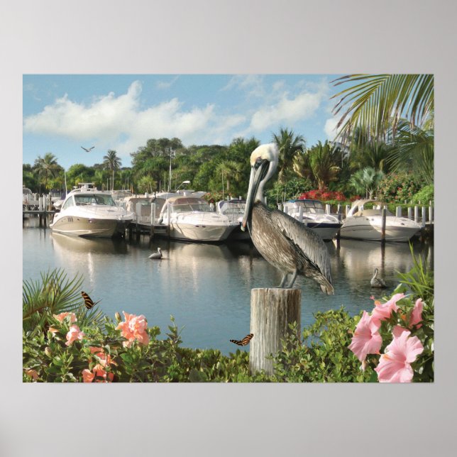 Affiche Alan Giana "Pelican Cove" (Devant)