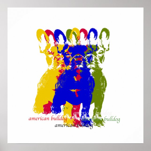 Affiche américaine de bulldog (Devant)