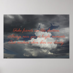 Affiche Amis Faux