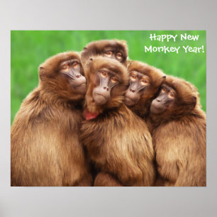 Affiche Année Du Singe Des Feux