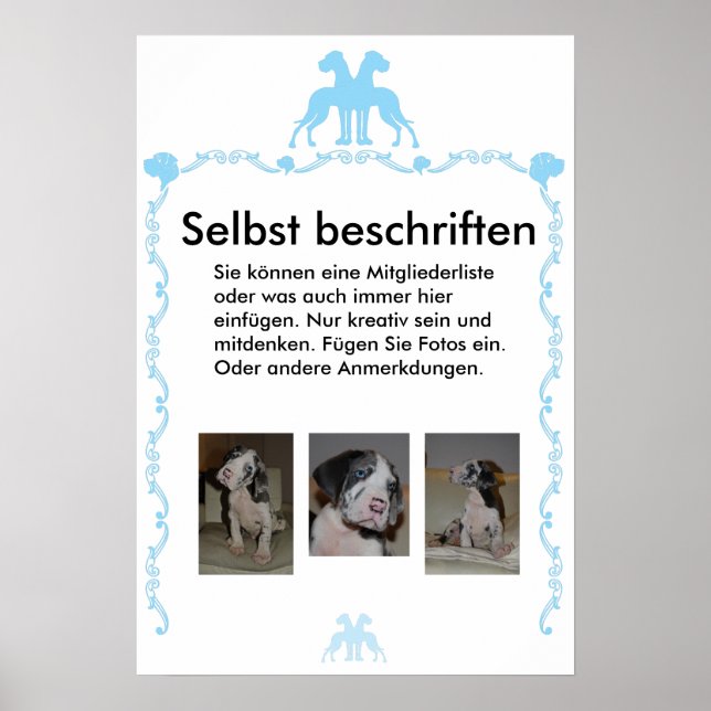 Affiche annotée (Devant)