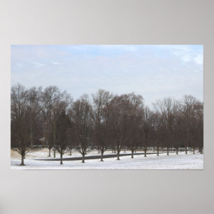 Affiche Arbres dans la Neige