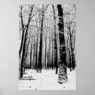 Affiche Arbres noirs et blancs en hiver 