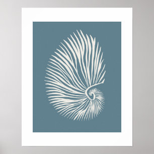 Affiche Art Coquillage