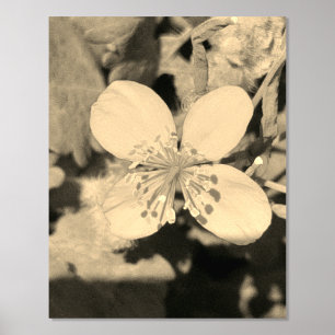 AFFICHE ART ET DESIGN EN IMPRESSION À LA FEUILLE D