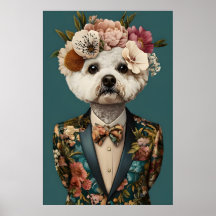Affiche Bichon Frisé en costume, Bichon Frisé