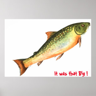 Affiche Big Fish