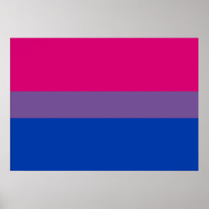 Affiche bisexuelle de drapeau de fierté