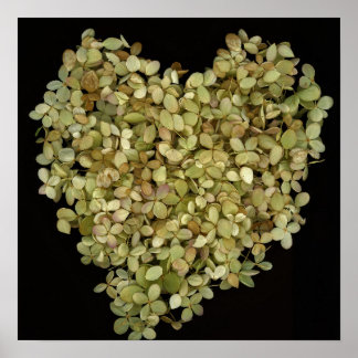 Affiche botanique Cœur d'hortensia |Lovely2