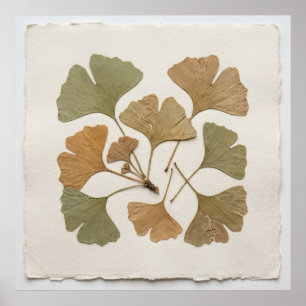 Affiche botanique de feuille de Ginkgo