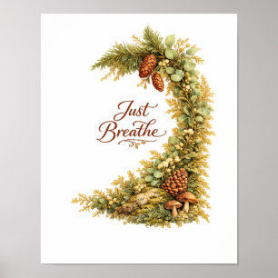 Affiche botanique du cône de pin de la forêt