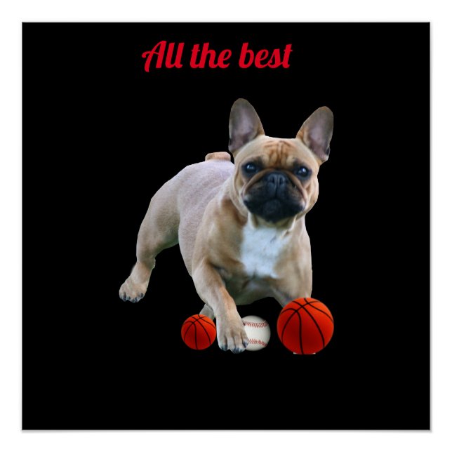 Affiche Boudogue Français (Devant)