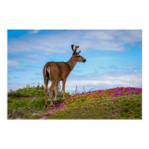 Affiche brillante de cerf Scène de fleurs sauvag