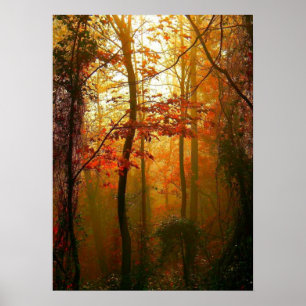 Affiche brumeuse de matin d'automne