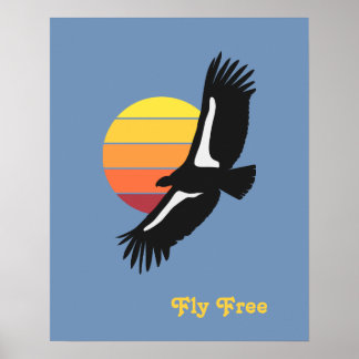 Affiche California Condor