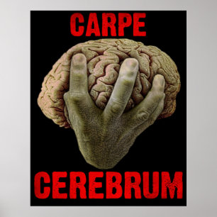 Affiche "CARPE CEREBRUM"