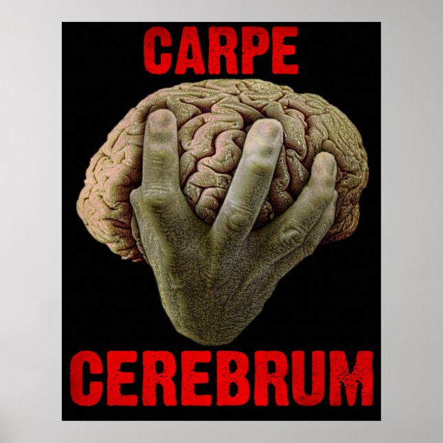 Affiche "CARPE CEREBRUM" (Devant)