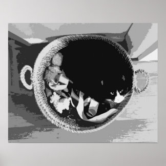 Affiche Chat dans un Panier