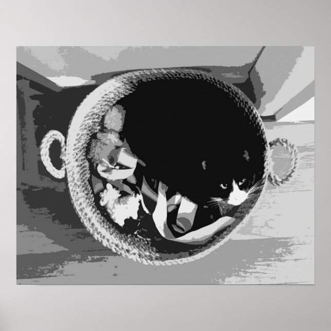 Affiche Chat dans un Panier (Devant)