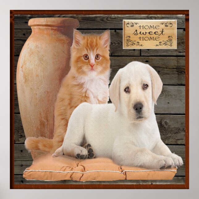 affiche chiot et chaton (Devant)