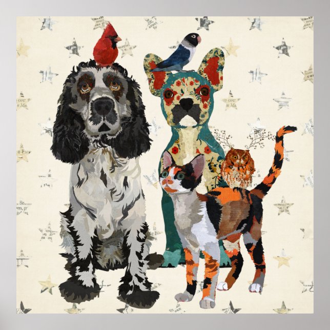 AFFICHE CLAWS, PAWS & FEATHERS (Devant)