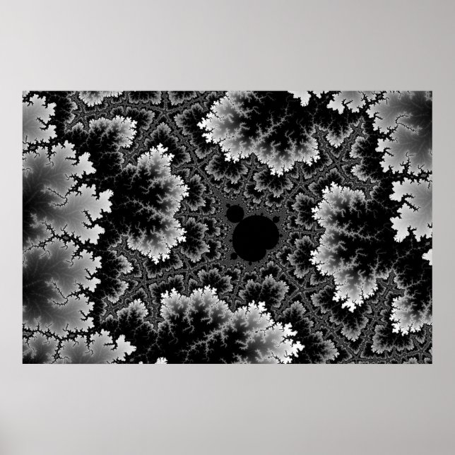 Affiche Corail Blanc (Devant)