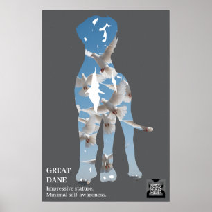Affiche courte Grand Danois