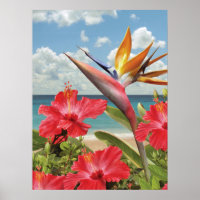 Affiche d'Alan Giana "Hibiscus in Paradise"