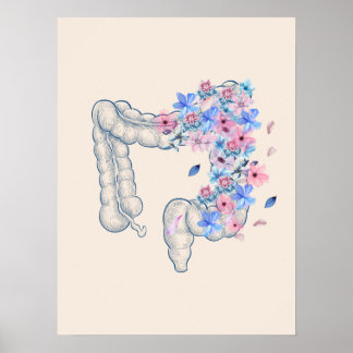 Affiche d'anatomie de l'intestin médical floral